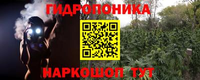 ешки Анапа