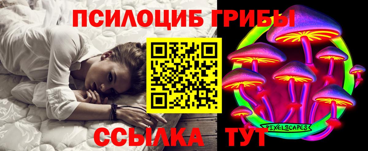 Псилоцибиновые грибы GOLDEN TEACHER  продажа наркотиков  Вход с VPN  Сосновоборск  Галлюциногенные грибы Psilocybine cubensis 